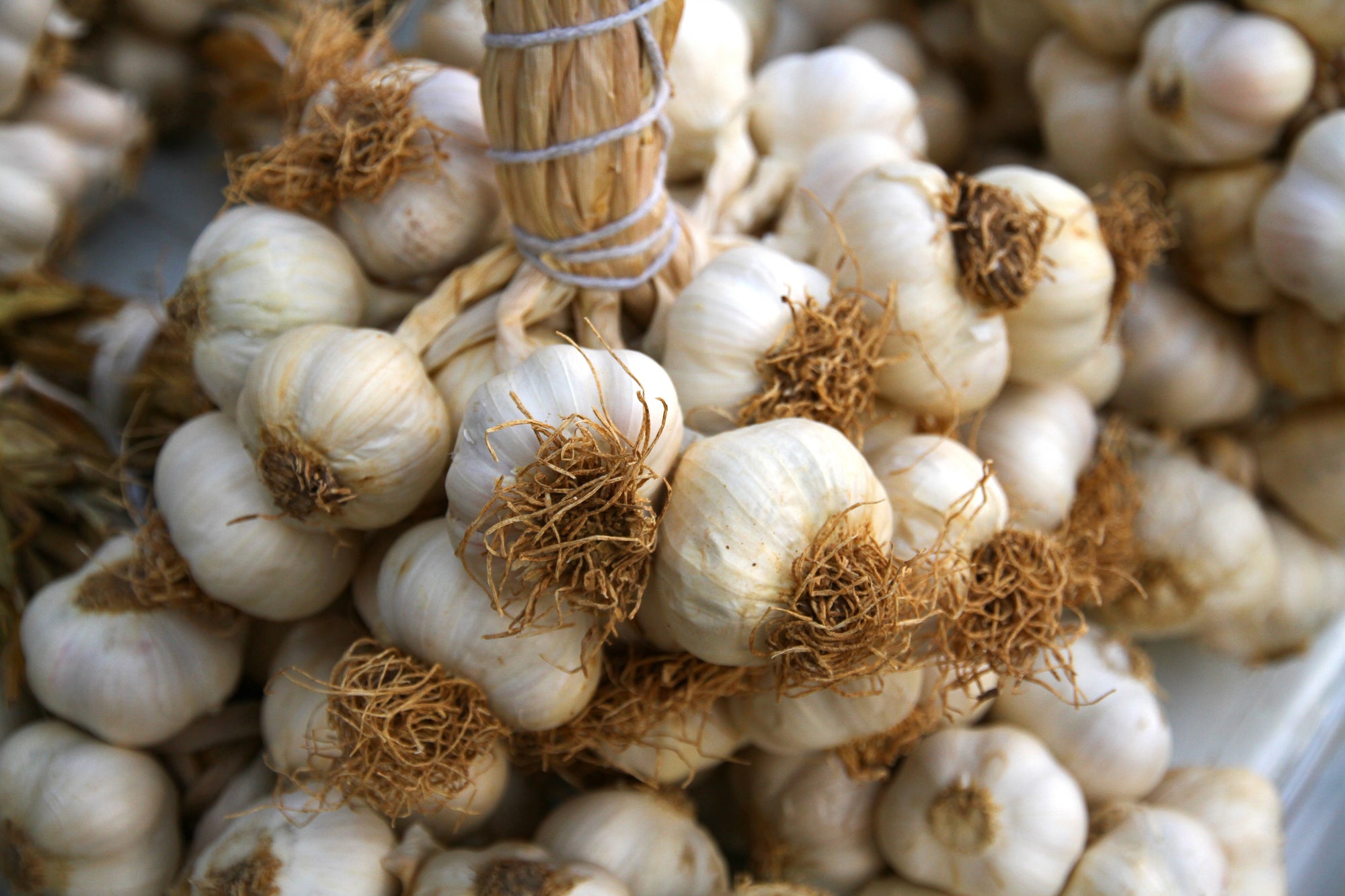 The Powerful Benefits Of Garlic For Skin Health
